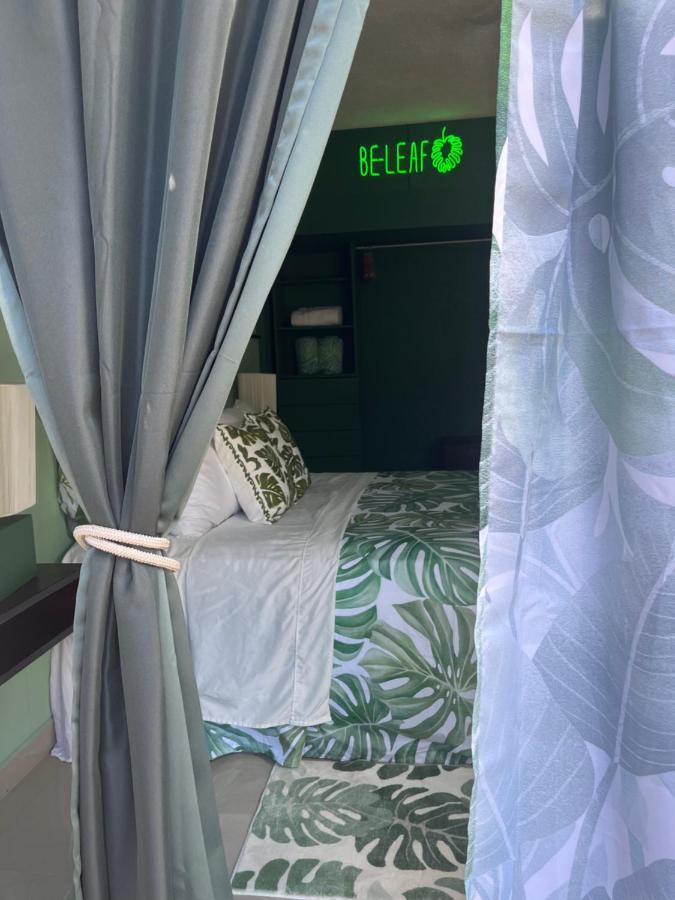 Dici Co-Living Housing Cabo San Lucas Acomodação com café da manhã Exterior foto