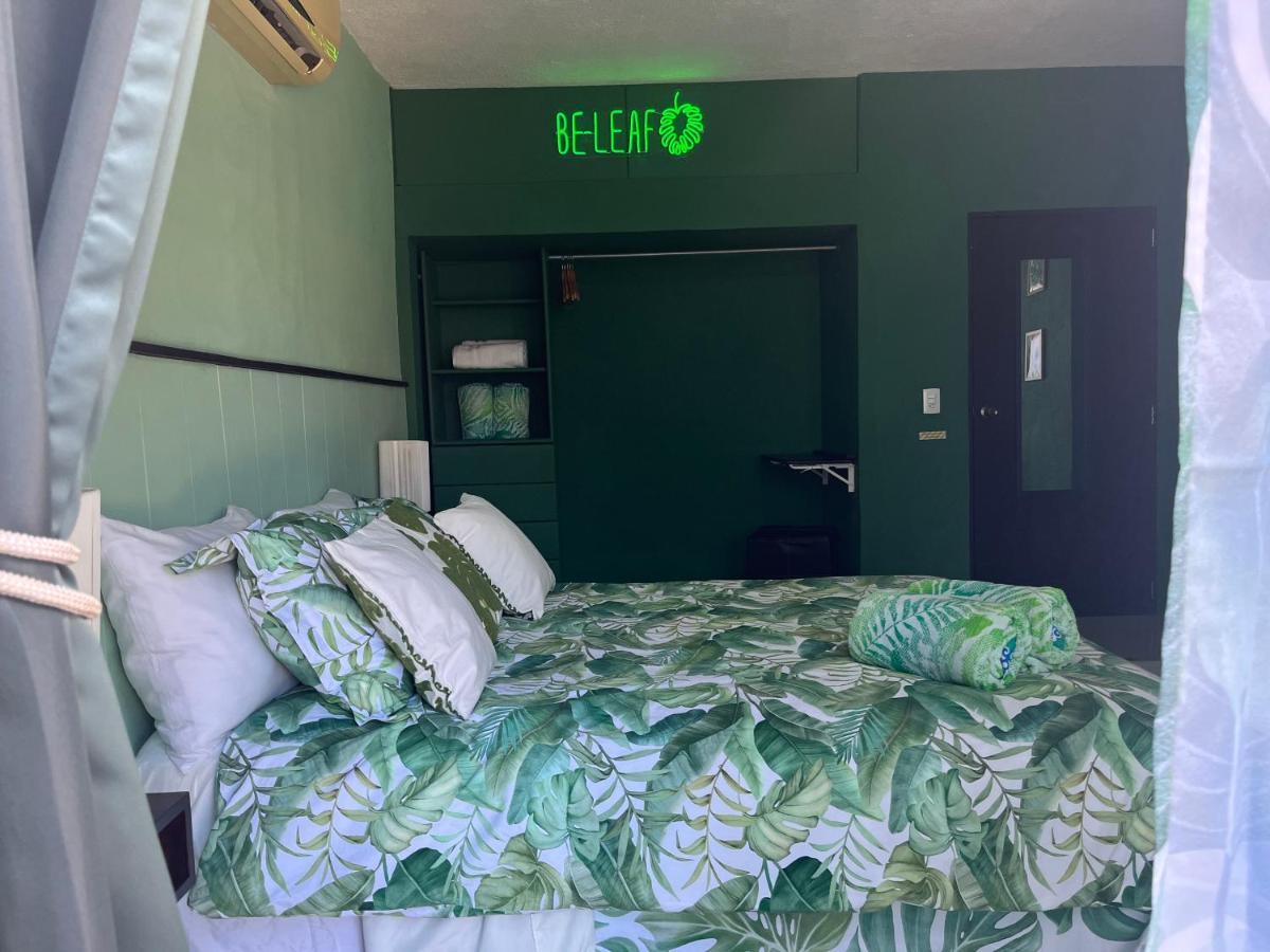 Dici Co-Living Housing Cabo San Lucas Acomodação com café da manhã Exterior foto