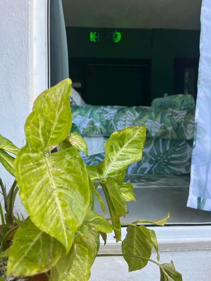 Dici Co-Living Housing Cabo San Lucas Acomodação com café da manhã Exterior foto