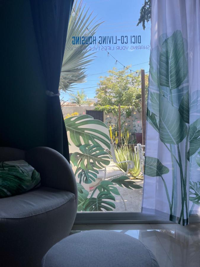 Dici Co-Living Housing Cabo San Lucas Acomodação com café da manhã Exterior foto